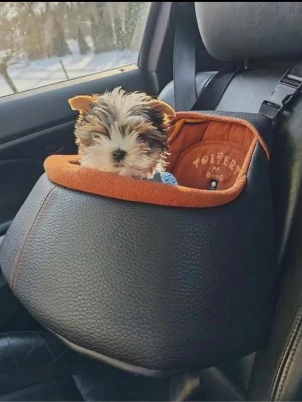 TOITERT Luxury Dog Car Seat Black & Cognac Pet Travel Booster Seat